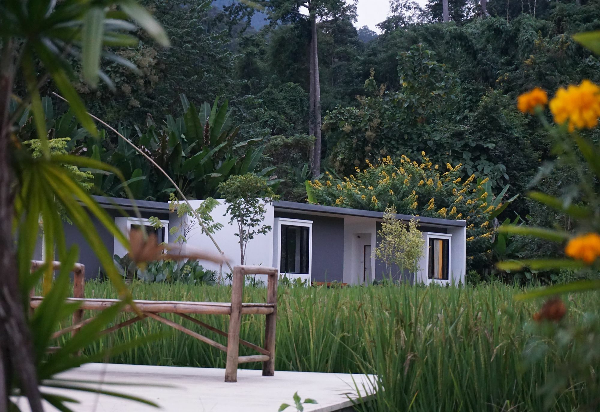Villa De View Chiang Dao Exteriér fotografie