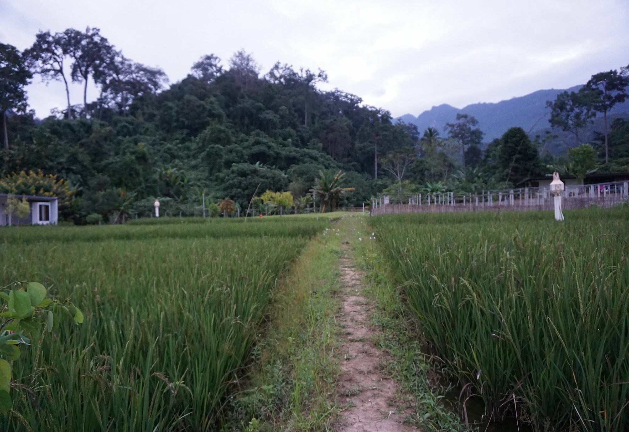 Villa De View Chiang Dao Exteriér fotografie