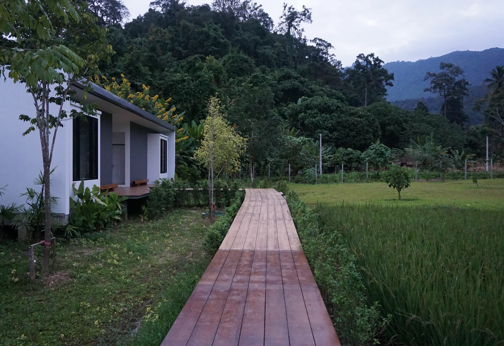 Villa De View Chiang Dao Exteriér fotografie